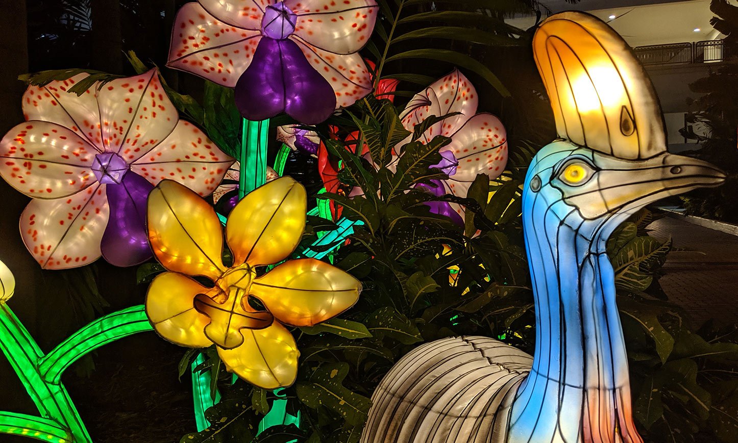 Jungle Island Luminosa Bird by Laura Medley